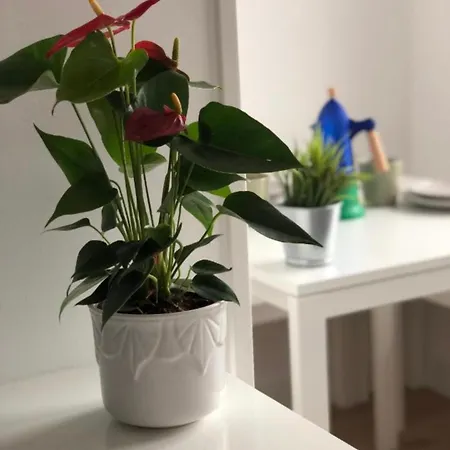 Apartmán Luxemburgo Huca Oviedo